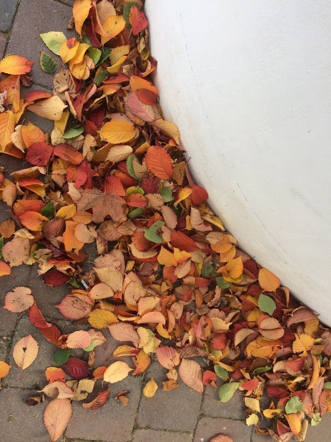 Autumn or Fall, whichever is here